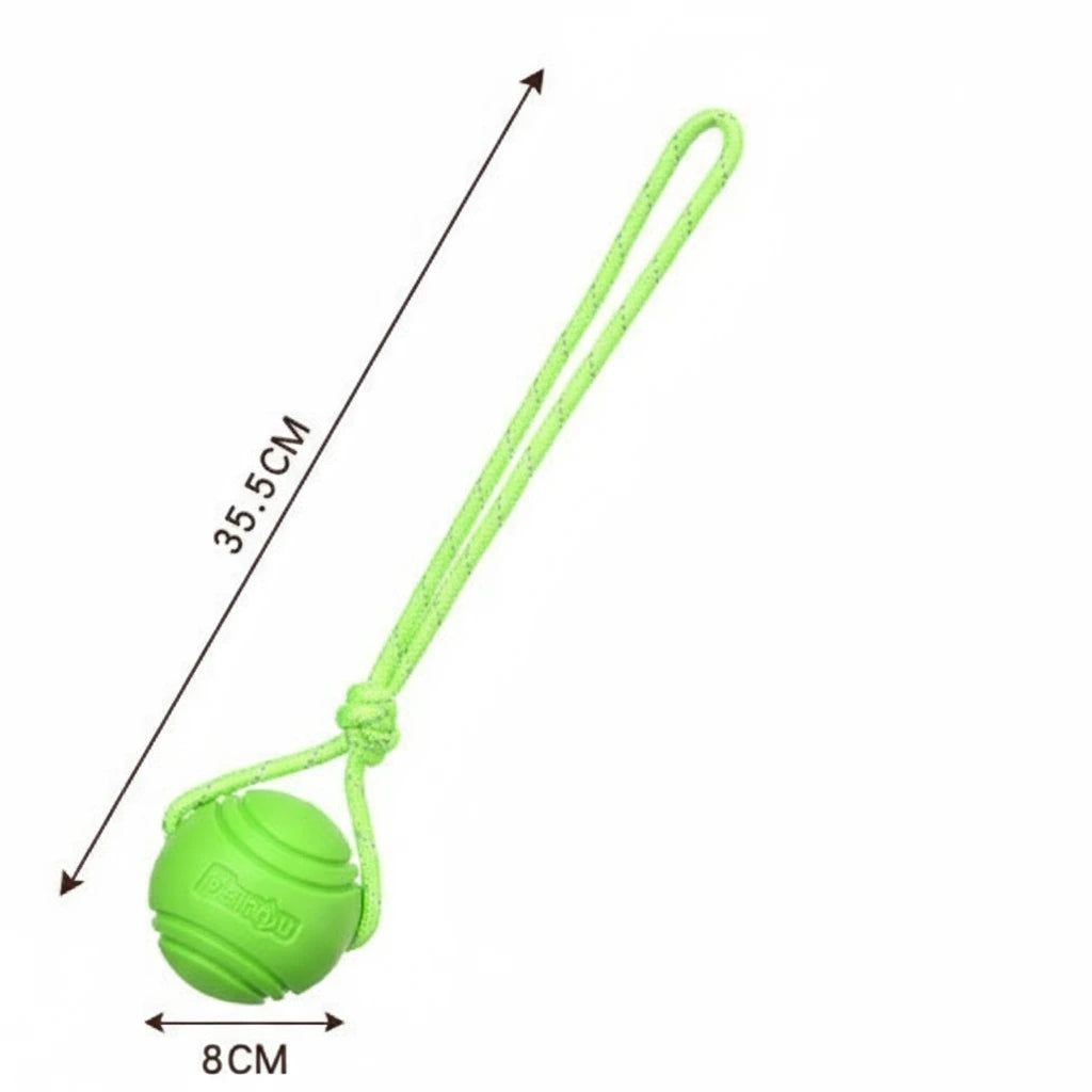 InvinciBall Chew Toy for Dogs