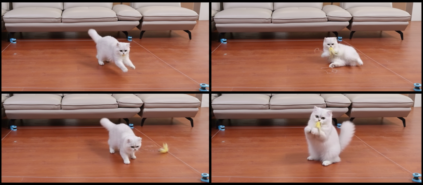 FelinePro™ Cat Fitness Toy