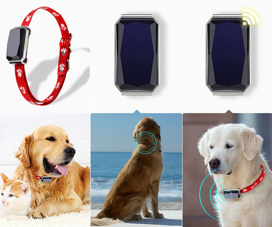 GPS Pet Tracker Collar (Multi-Functional)