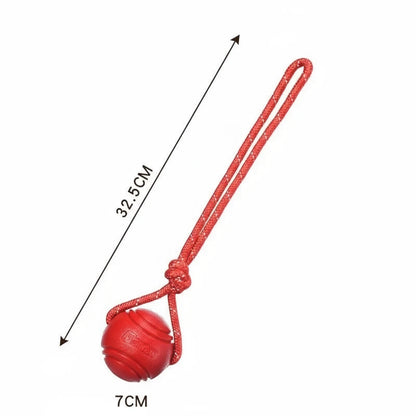 InvinciBall Chew Toy for Dogs