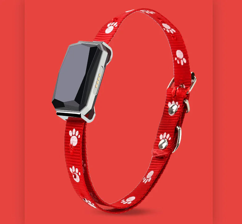GPS Pet Tracker Collar (Multi-Functional)