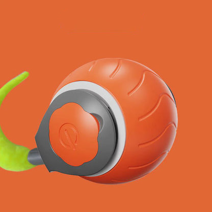 Speedy Interactive Cat Toy For Indoor Cats (USB Rechargeable)