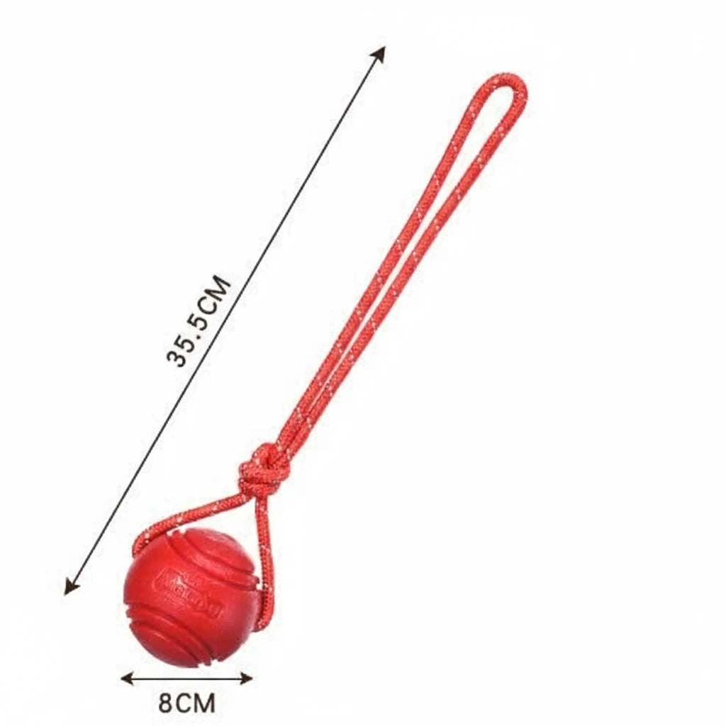 InvinciBall Chew Toy for Dogs