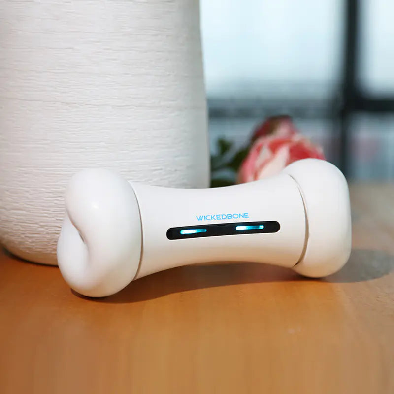 Intelligent Robot Bone