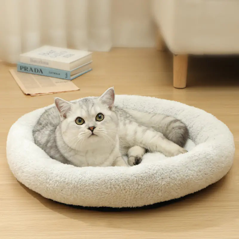 Premium Warm Cat and Dog Bed (Soft Cushion) 50cm