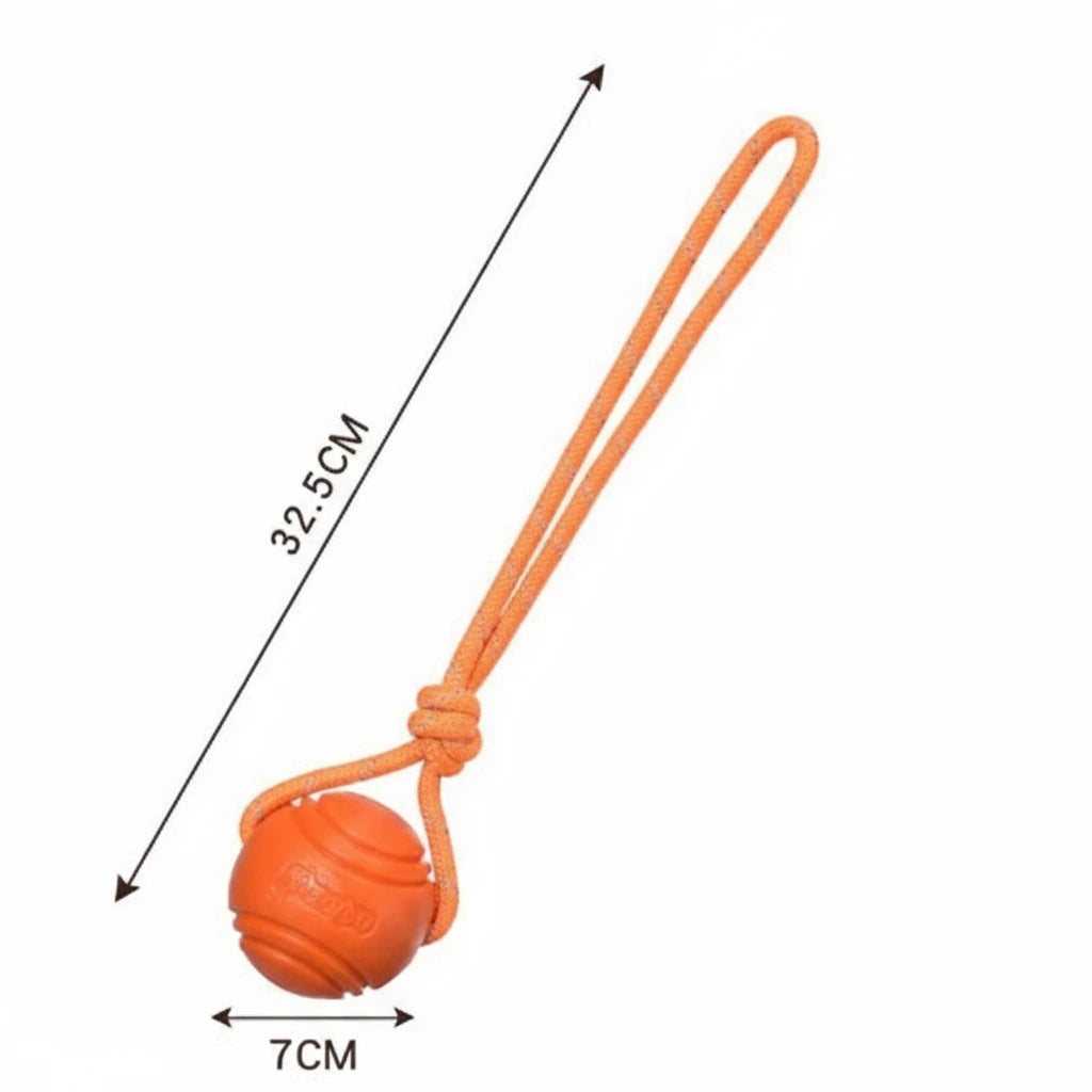 InvinciBall Chew Toy for Dogs