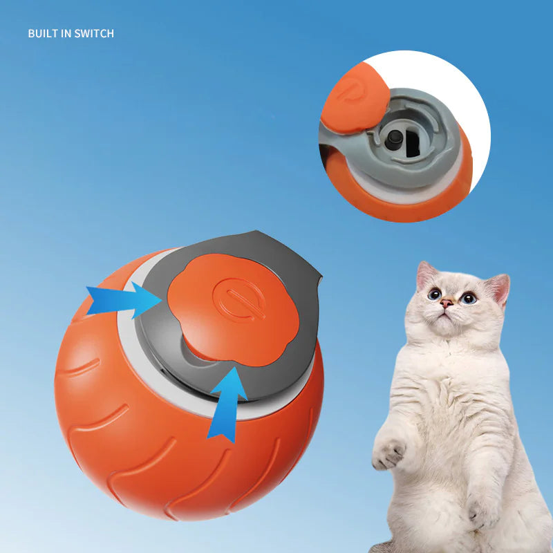 Speedy Interactive Cat Toy For Indoor Cats (USB Rechargeable)