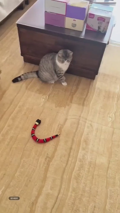 Interactive Snake Toy (USB Charging)