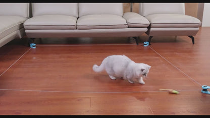 FelinePro™ Cat Fitness Toy
