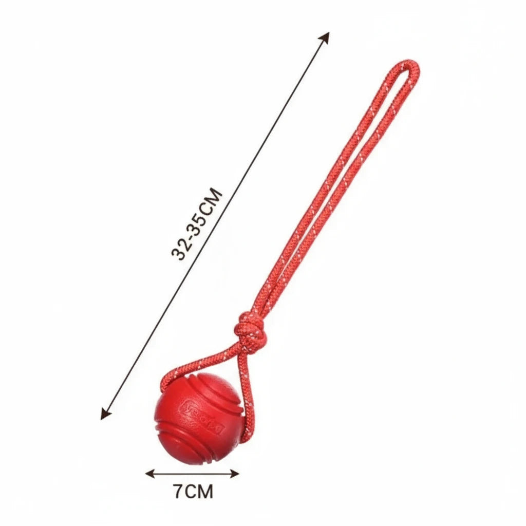 InvinciBall Chew Toy for Dogs