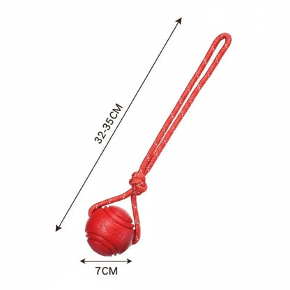 InvinciBall Chew Toy for Dogs