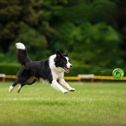Interactive Dog Chew Ball with Sound
