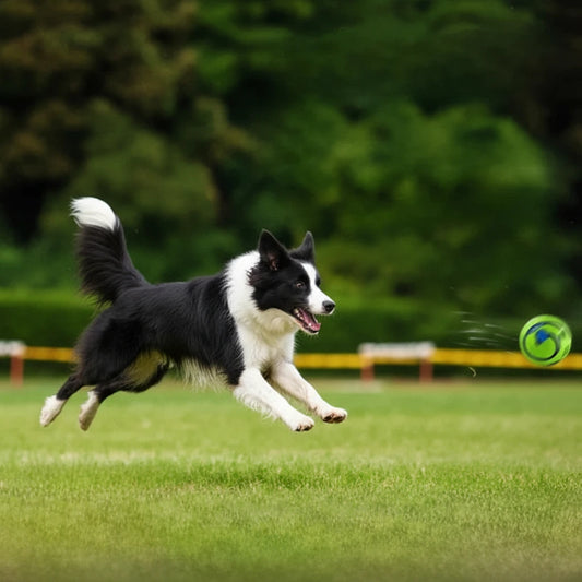 Interactive Dog Chew Ball with Sound
