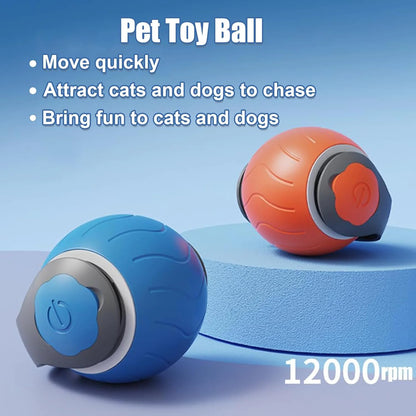 Speedy Interactive Cat Toy For Indoor Cats (USB Rechargeable)